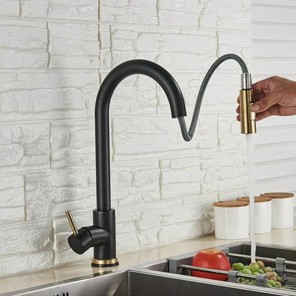 Robinet de cuisine | Élégance Noir Mat Doré